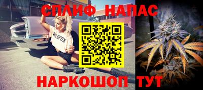 стафф Заводоуковск