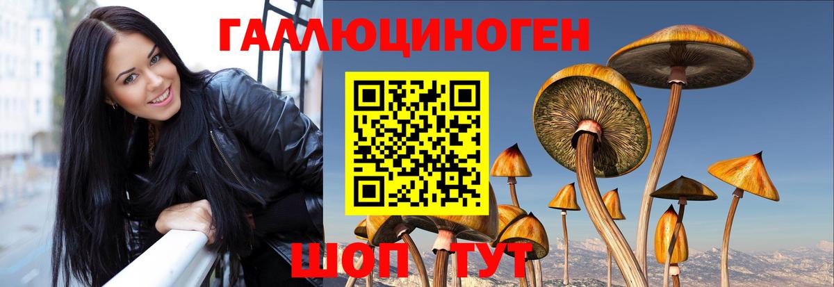 Кунгур  Псилоцибиновые грибы прущие грибы  Вход с VPN 